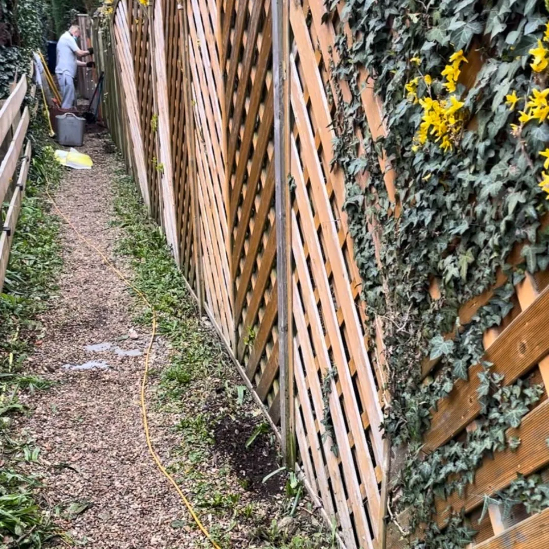 Fence line before repair work
