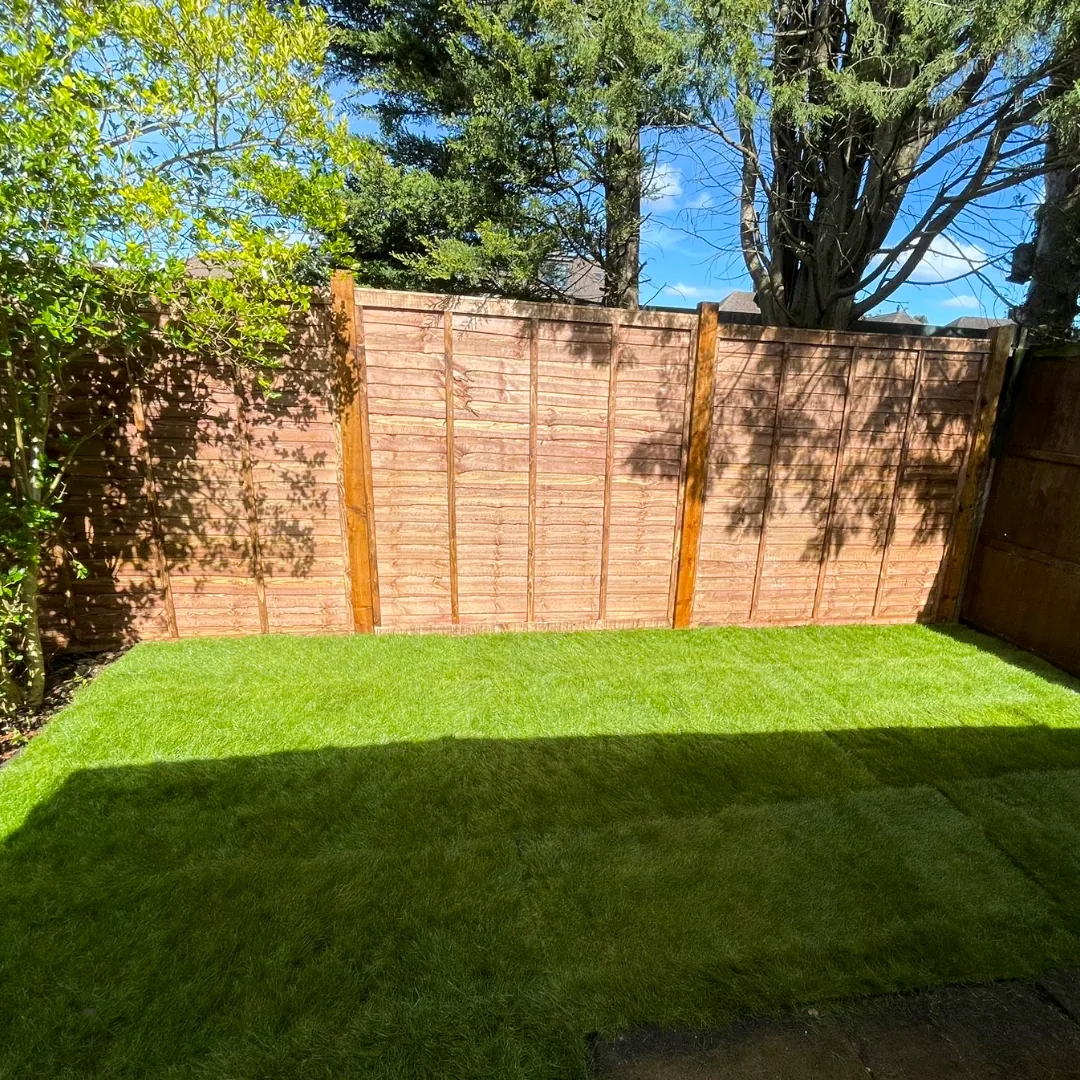 Garden area after new lawn and fence work