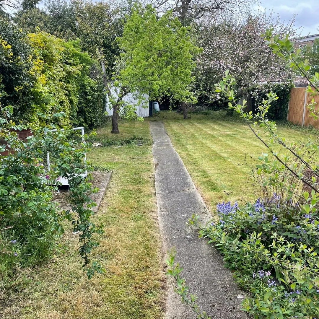 Garden after lawn cutting and tidy up work