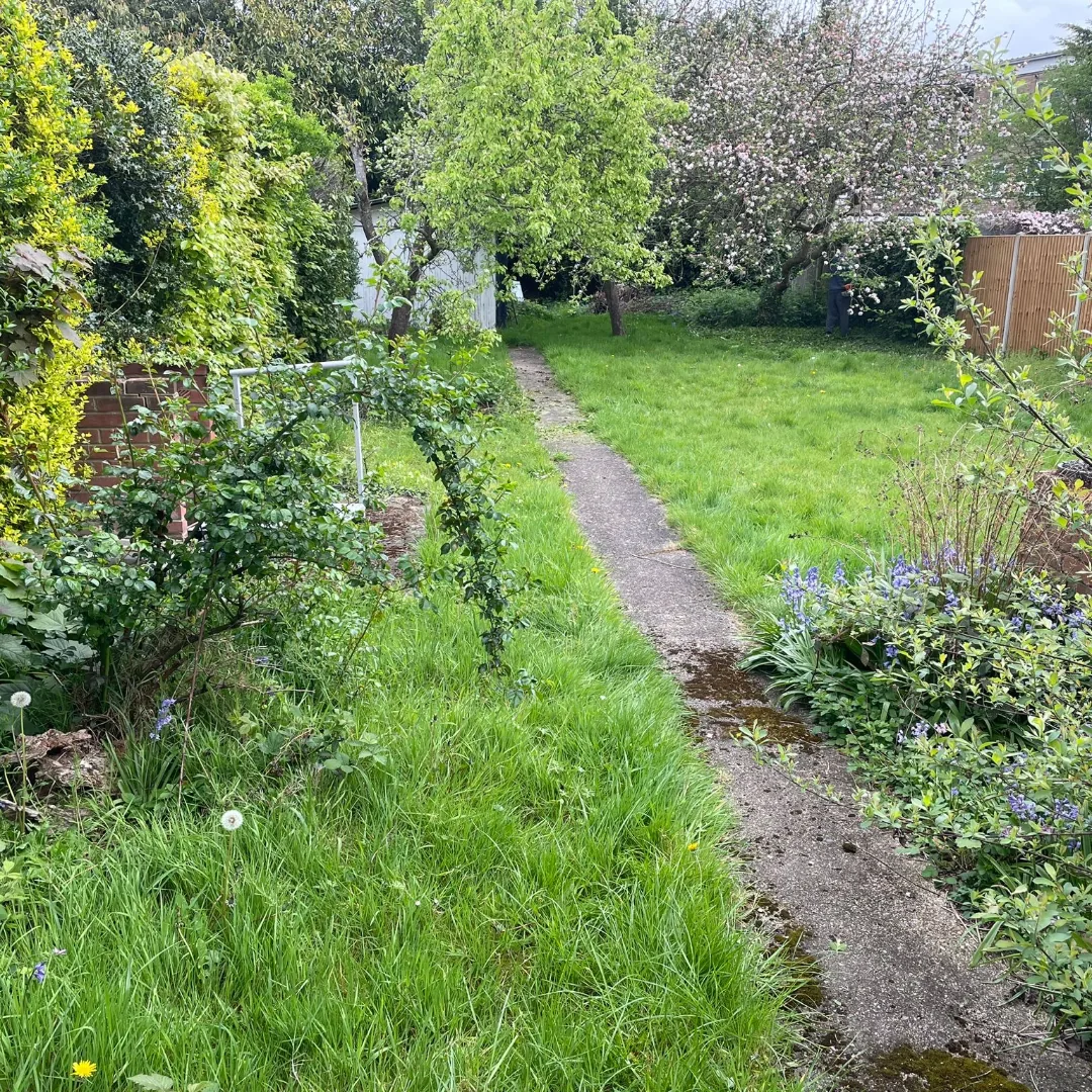 Overgrown garden before tidy up work