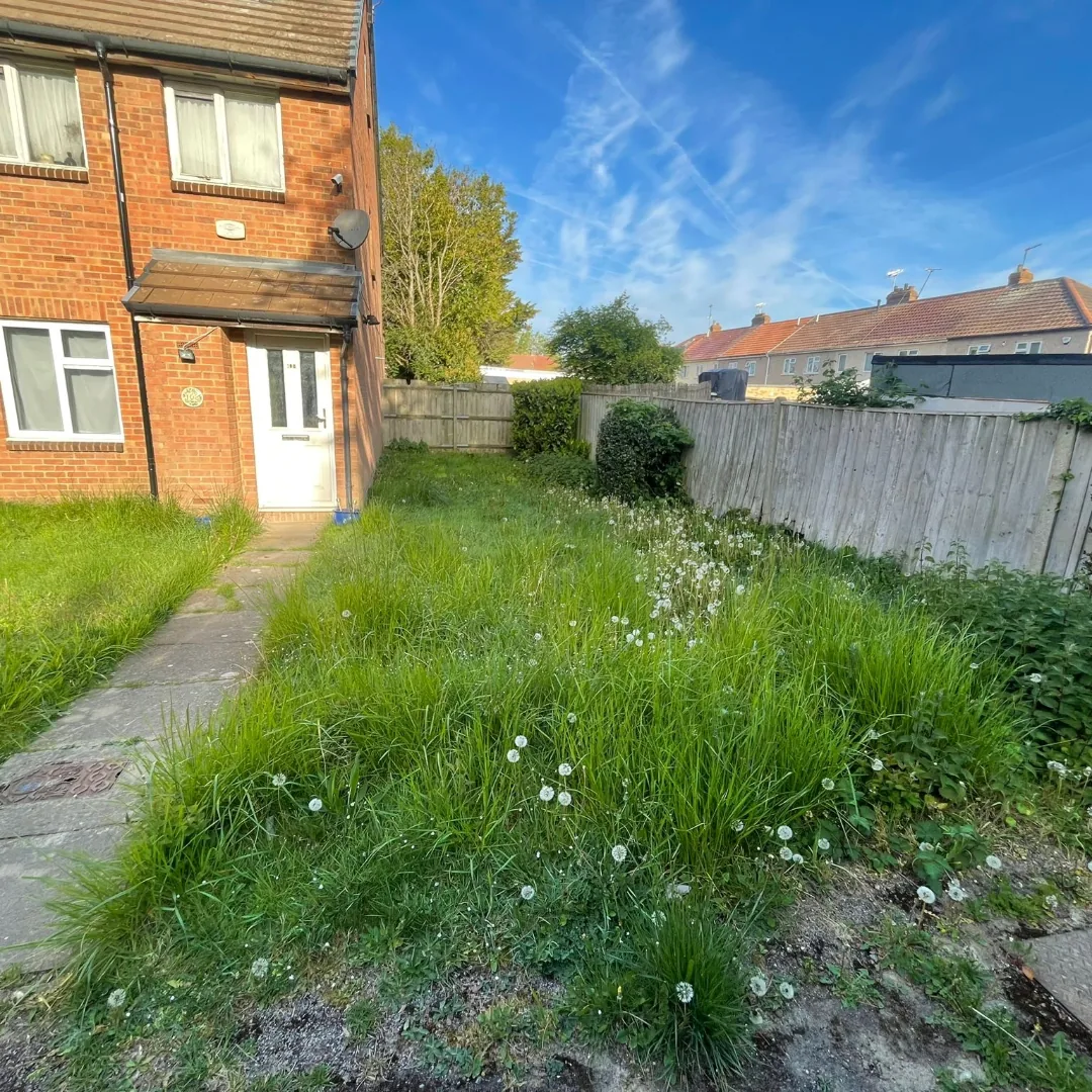 Overgrown front garden before grass cutting