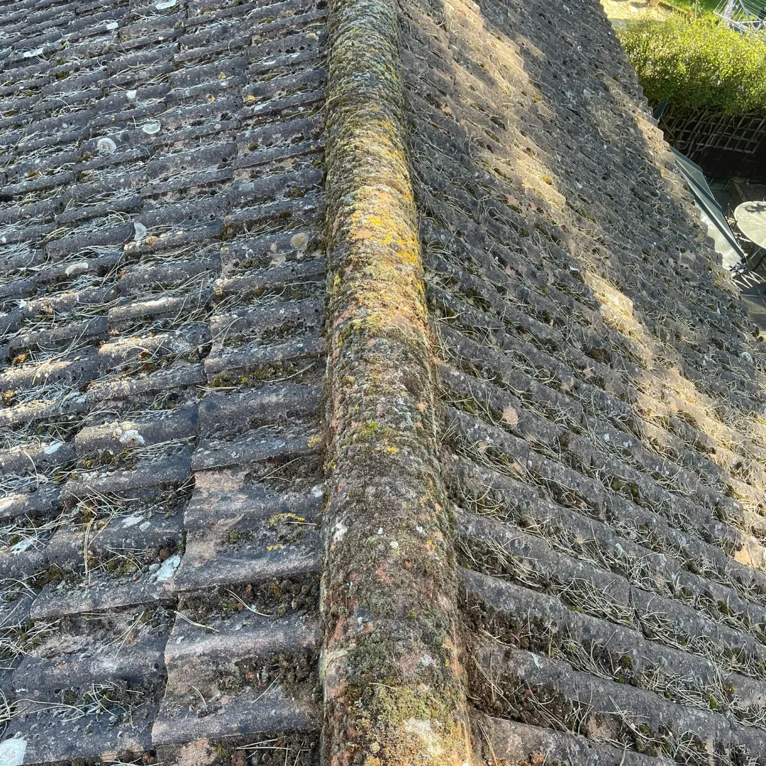 Roof before cleaning work
