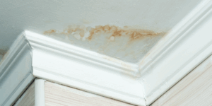 leaking room