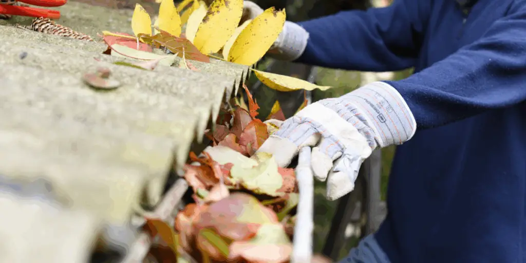 Gutter Cleaning and Unblocking
