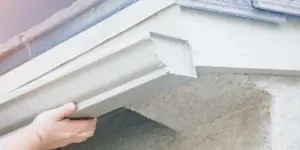 Fascia