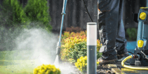 Garden Clean Up
