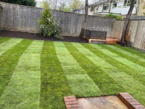 Turf Laying